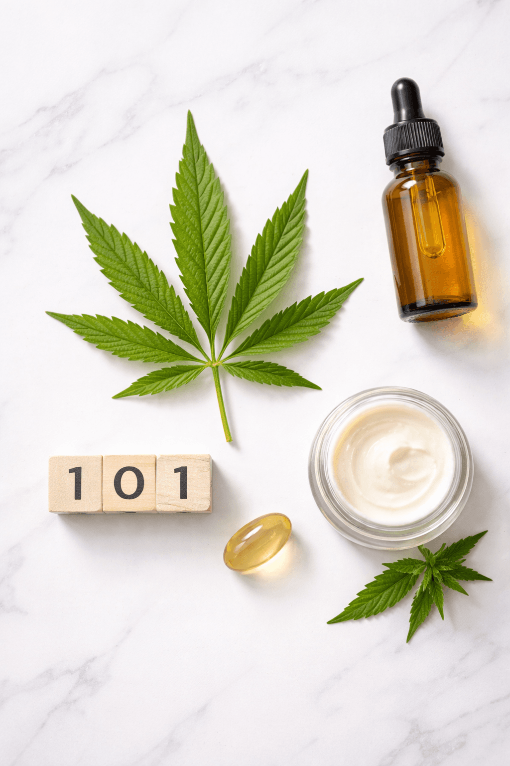 CBD vs THC: Understanding the Key Differences